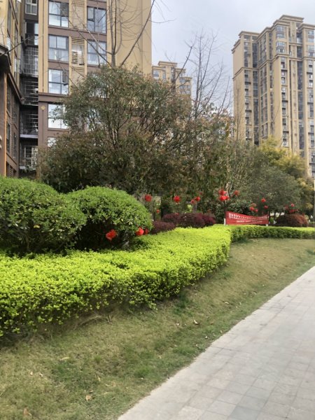 东湖丽景,德水北路-遂宁东湖丽景二手房,租房,房价-遂宁安居客