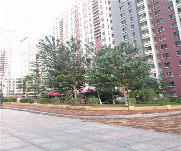 盟科观邸,宣化街573号-哈尔滨盟科观邸二手房,租房,房价-哈尔滨安居客