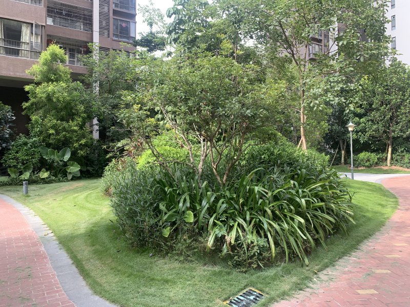 壹江南,梅水路20号-梅州壹江南二手房,租房,房价-梅州安居客