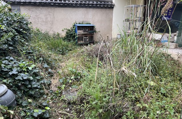 湖畔家园6室2厅268㎡199万二手房图片