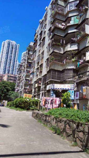 吉星花园,深惠路30-40号-深圳吉星花园二手房,租房,房价-深圳安居客