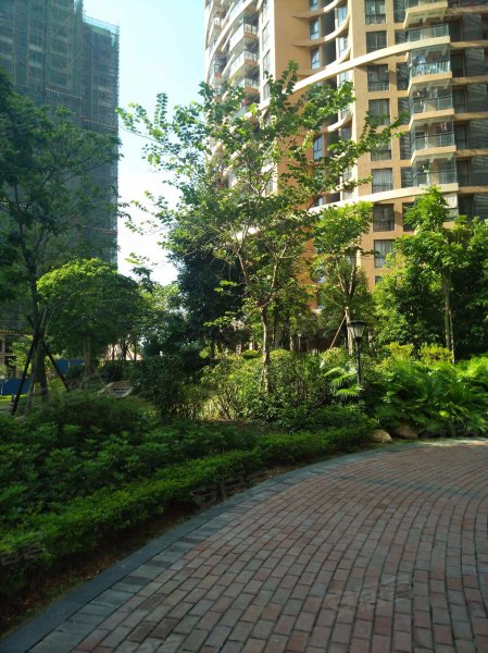 香樟林,望州南路188号-南宁香樟林二手房,租房,房价-南宁安居客