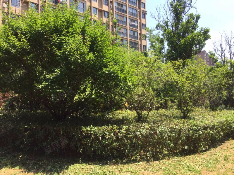 润龙锦园,殷华街36号-秦皇岛润龙锦园二手房,租房,房价-秦皇岛安居客