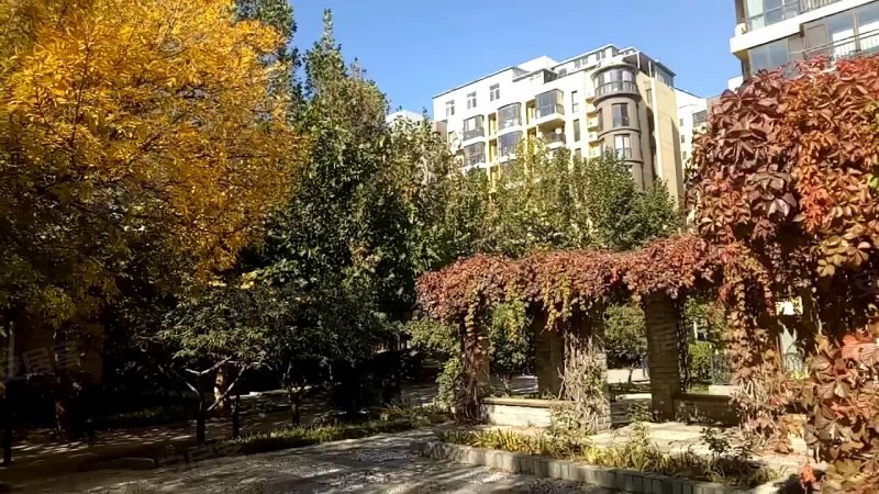 海子角绿色庄园