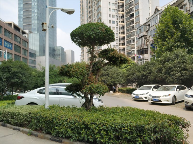 光谷中心花园,珞喻路-武汉光谷中心花园二手房,租房,房价-武汉安居客