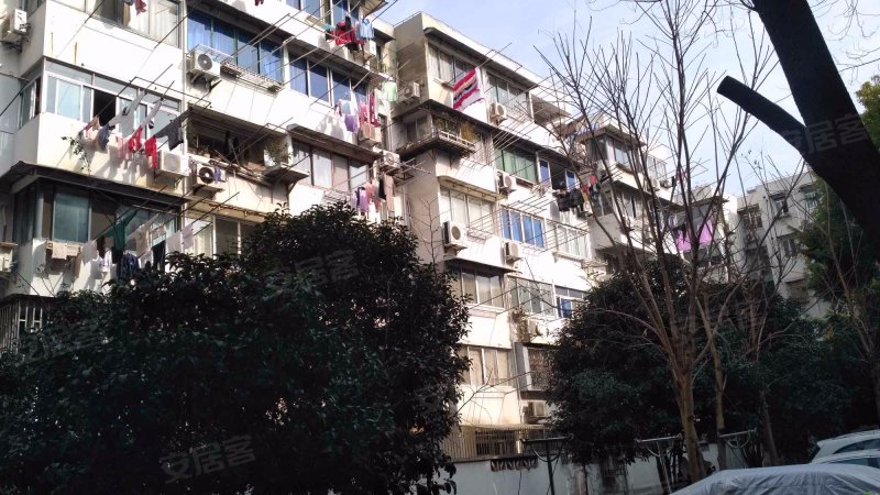 金桥新村五街坊 