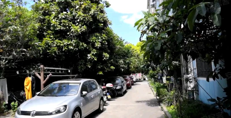 牡丹路225弄小区 