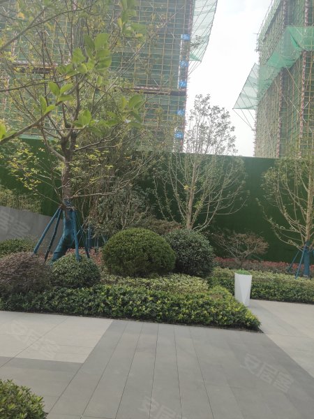 金大地上东天宸,铜井路-铜陵金大地上东天宸二手房,租房,房价-铜陵
