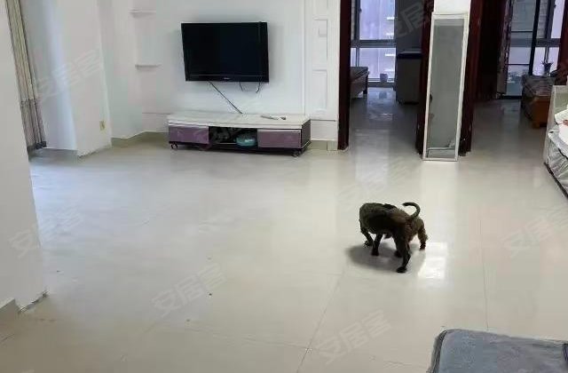 圣城乌托邦3室2厅130㎡79.9万二手房图片