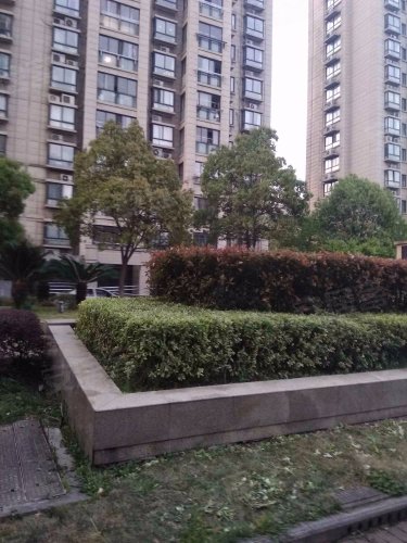 世博名邸,嘉善大道 - 嘉善世博名邸二手房,租房,房价-嘉善安居客