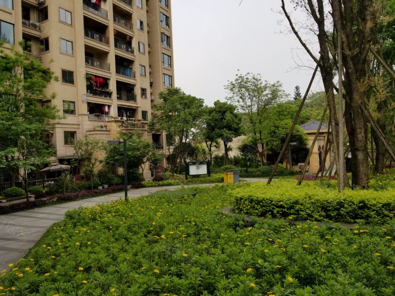 桃源居国际花园一区