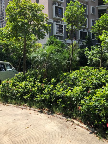 金源小区,美祥东路6号-海口金源小区二手房,租房,房价-海口安居客