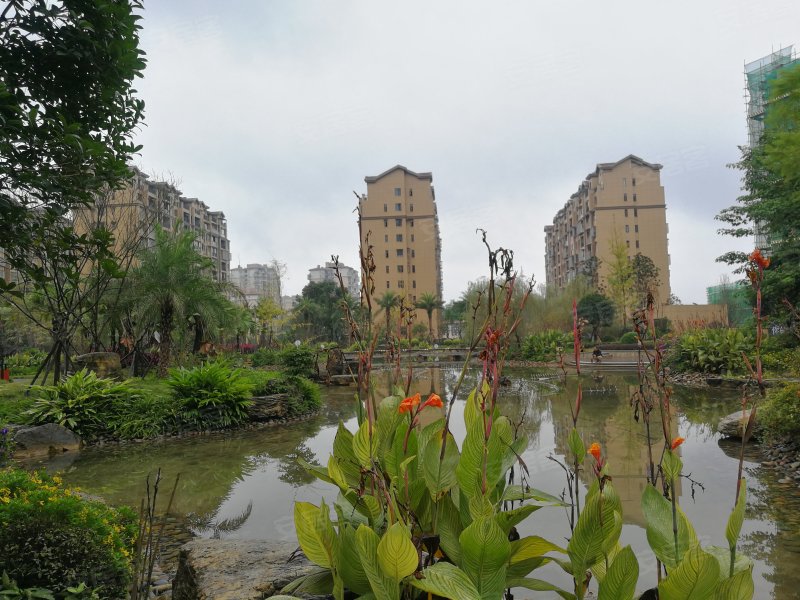 万隆南岸花城,城南大道189号-泸州万隆南岸花城二手房,租房,房价-泸州