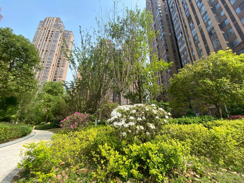 碧桂园中环壹号