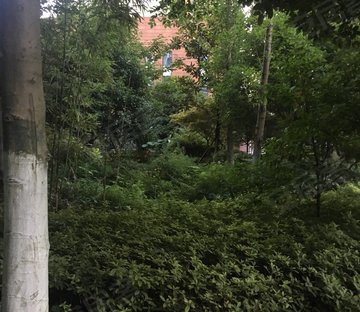 金龙星岛国际(别墅)