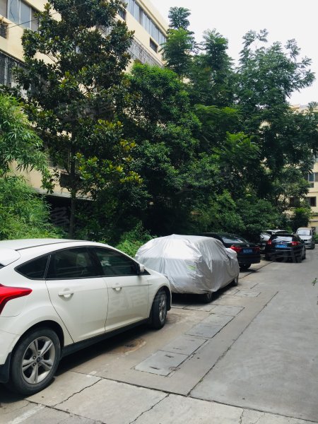 新世纪花园,健康路99号-新乡新世纪花园二手房,租房,房价-新乡安居客