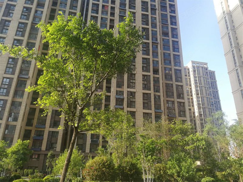 绿地中央广场三区,齐州路3199号-济南绿地中央广场三区二手房,租房