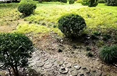 龙柏三村新悦公寓