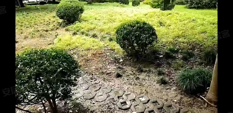 龙柏三村新悦公寓 