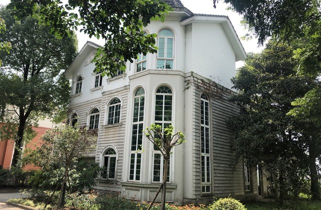 金水湾(别墅)5室2厅447㎡420万二手房图片