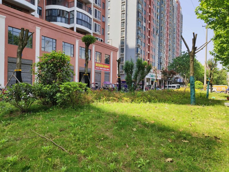 御景苑(监利),荆南大道-荆州御景苑(监利)二手房,租房,房价-荆州安居