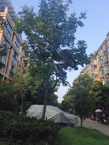 鑫旺盛世莲花,汤匙路-合肥鑫旺盛世莲花二手房,租房,房价-合肥安居客