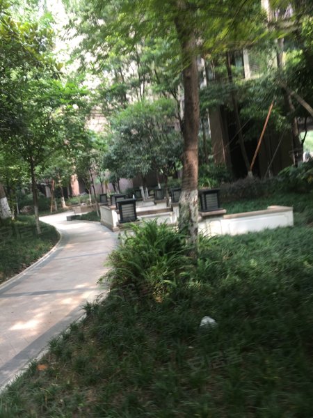 中海龙湾半岛龙园