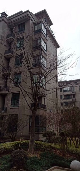 文星花园海棠苑,纺工路959号-嘉兴文星花园海棠苑二手房,租房,房价