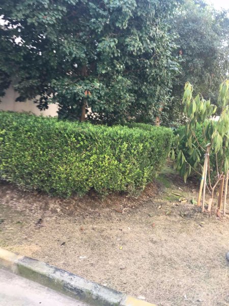 北中路280弄小区 