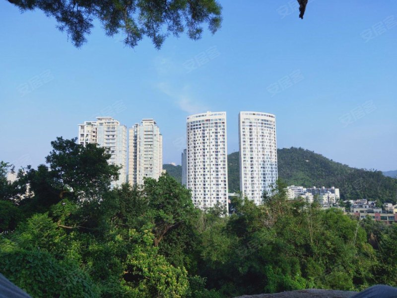 莱茵半岛,情侣南路318号-珠海莱茵半岛二手房,租房,房价-珠海安居客