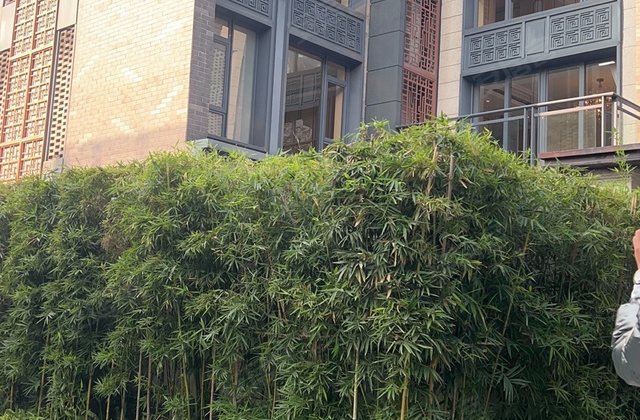 美的西江府(别墅)4室2厅173㎡190万二手房图片