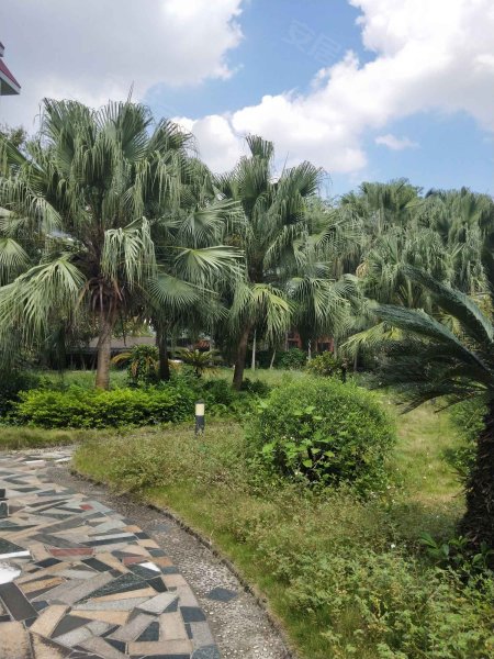 银湖花园,星湖路南三里2号-南宁银湖花园二手房,租房,房价-南宁安居客