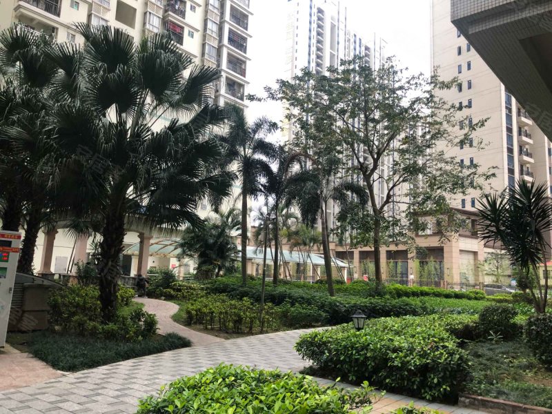 兴华广场,海北路11-31号-湛江兴华广场二手房,租房,房价-湛江安居客