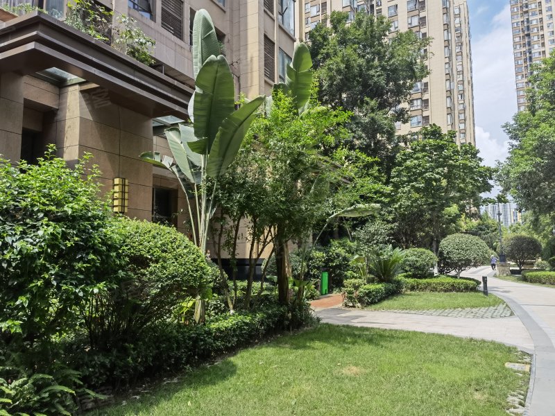 绿地468公馆一期,樱花街1179号,芙蓉西路468号-成都绿地468公馆一期