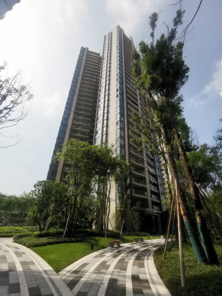 棕榈泉悦江国际(b区)