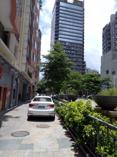 南海明珠,南光路75号-深圳南海明珠二手房,租房,房价-深圳安居客