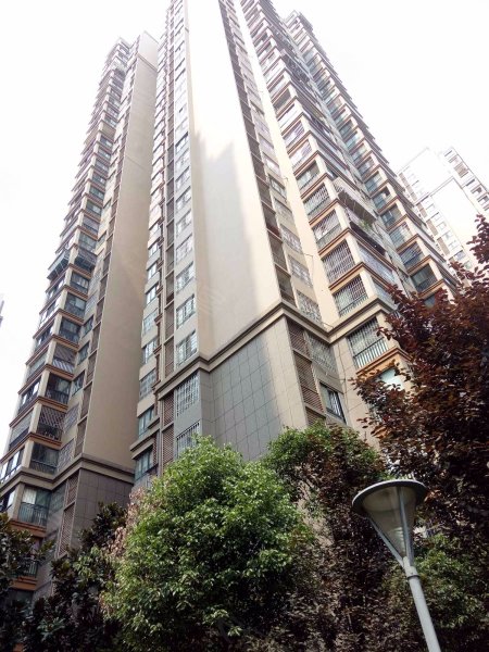 锦城逸景b区,锦丰三路28号-成都锦城逸景b区二手房,租房,房价-成都