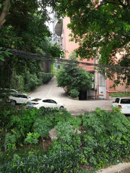 巴蜀俊秀,北区路51号-重庆巴蜀俊秀二手房,租房,房价-重庆安居客