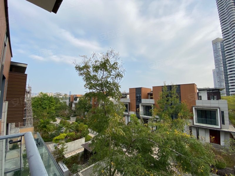 中信红树湾(南区别墅)