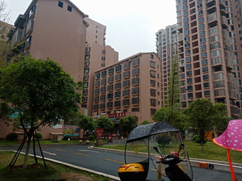 书香名邸(冷水滩),传芳路-永州书香名邸(冷水滩)二手房,租房,房价