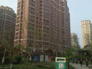 重庆路小区图片