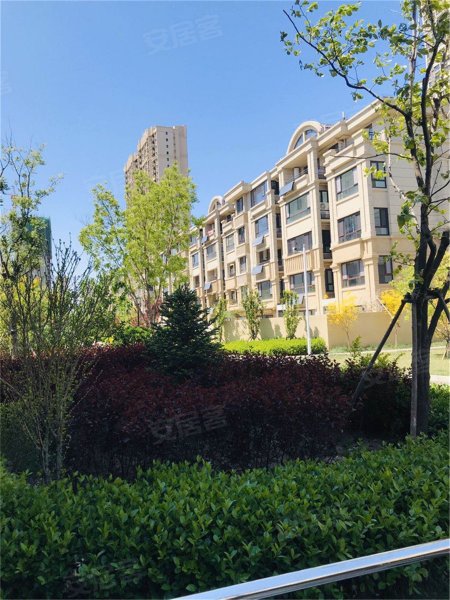 紫晶苑(商住楼),建设南路-廊坊紫晶苑(商住楼)二手房,租房,房价-廊坊