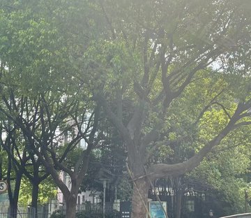 万科荷花苑