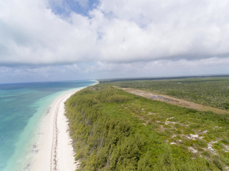 巴哈马约¥6463万80英亩 海滩土地二手房商铺图片