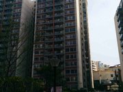 金田花园精装三房急售 楼层高采光好保养好 密码钥匙随时看房