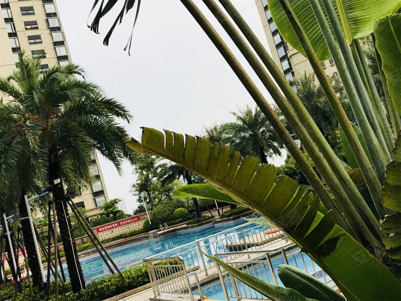 泉州万科城(一期)