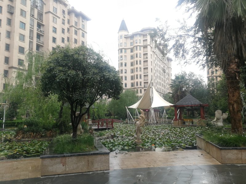 康城棕榈泉,紫荆山路218号-郑州康城棕榈泉二手房,租房,房价-郑州安居