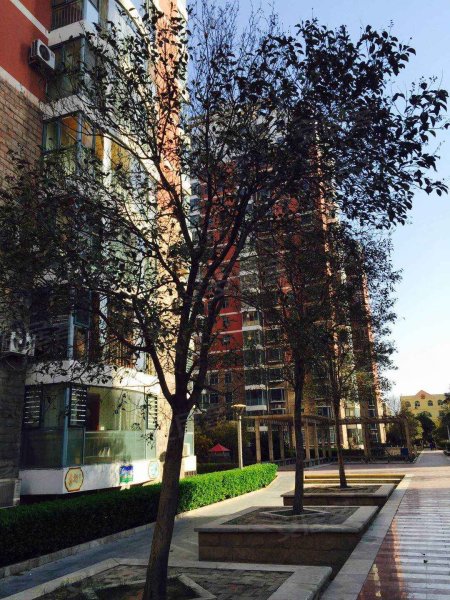 邯郸明珠花园(d区)