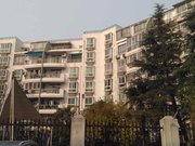 临地铁 购物方便 精装好房 朝南 高楼层视野无遮挡,陆家嘴新景园(二期