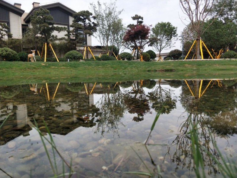 俊发嵩山溪谷(别墅)